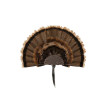 Allen EZ Mount Turkey Fan Display - Brown