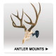 Antler Mounts