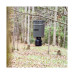 Moultrie 40lb Directional Hanging Deer/Fish Feeder - Native Outdoors