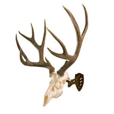 Skull Hooker Little Hooker Antler Mounting System - Robust Brown