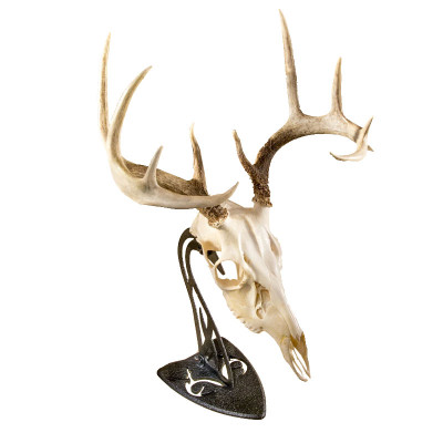 Skull Hooker Realtree Table Hooker Antler Mounting System - Graphite Black