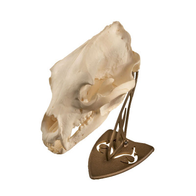 Skull Hooker Realtree Table Hooker Antler Mounting System - Robust Brown