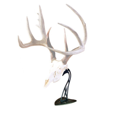 Skull Hooker Table Hooker Antler Mounting System - Graphite Black