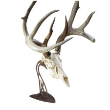 Skull Hooker Table Hooker Antler Mounting System - Robust Brown Skull Hooker Table Hooker Antler Mounting System - Robust Brown