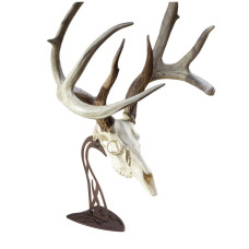 Skull Hooker Table Hooker Antler Mounting System - Robust Brown