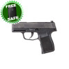 Sig Sauer P365 .380 ACP 3.1in 10+1 Pistol Sig Sauer P365 .380 ACP 3.1in 10+1 Pistol