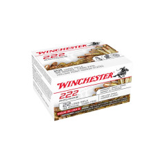 Winchester USA .22LR 36gr Copper Plated Hollow Point - 222 Rounds